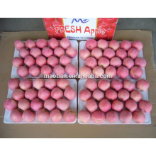 fresh apple fruit for sale